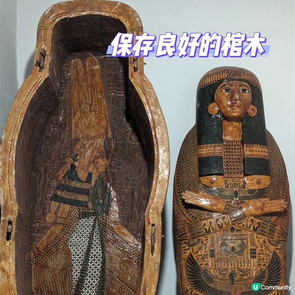 🐤可能是路克索的避難天堂