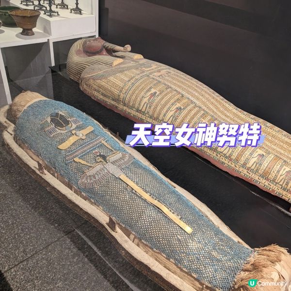 🐤可能是路克索的避難天堂