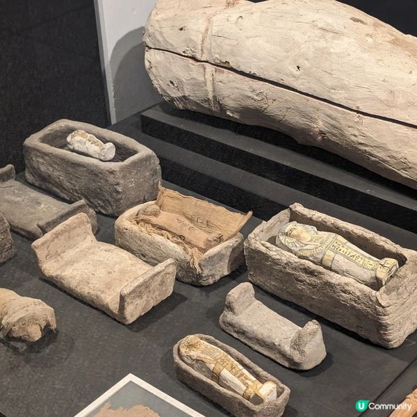 🐤可能是路克索的避難天堂