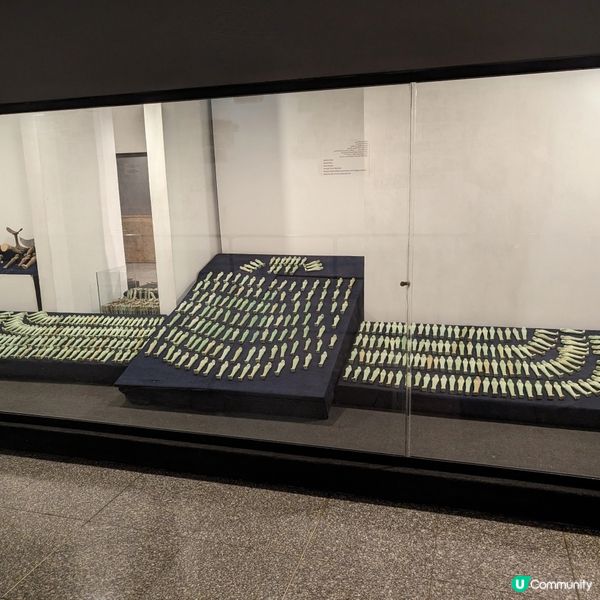 🐤可能是路克索的避難天堂