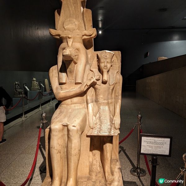 🐤可能是路克索的避難天堂