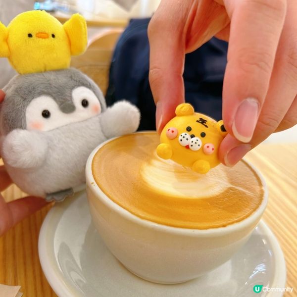 動物咖啡好可愛🥰