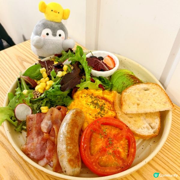 動物咖啡好可愛🥰