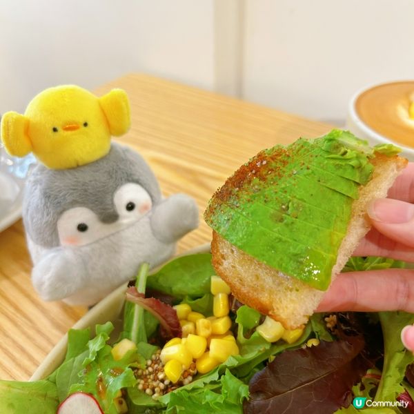 動物咖啡好可愛🥰