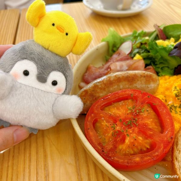 動物咖啡好可愛🥰