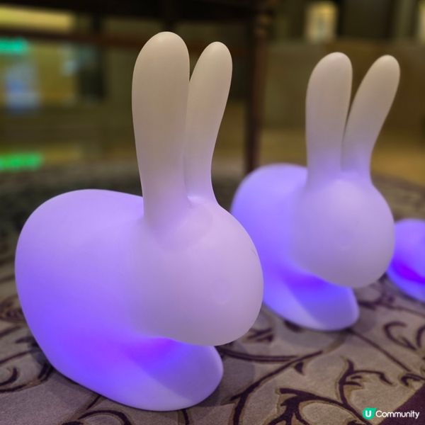 帝苑酒店 | 雙黃白蓮蓉🥮😋😋😋