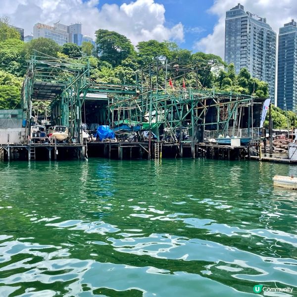 深度遊香港‼️ 香港仔漁村海上之旅🌊