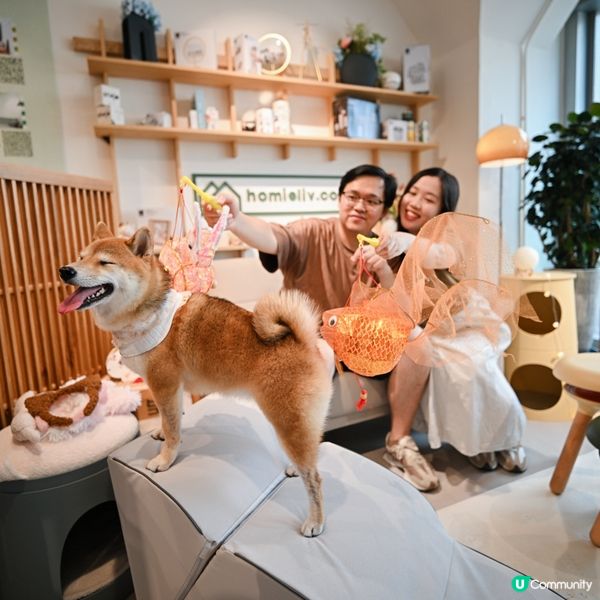 無諗過傢俬舖都可以影全家福📸