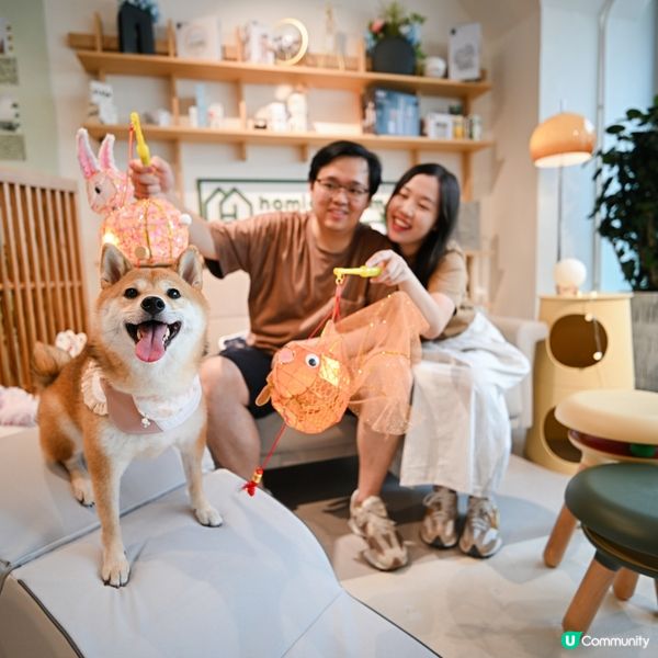 無諗過傢俬舖都可以影全家福📸