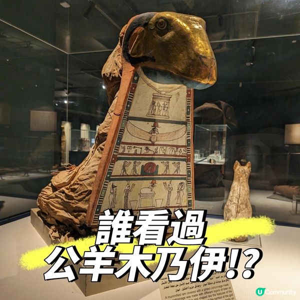 🐤我的志願: 成為木乃伊製作師
