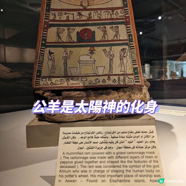 🐤我的志願: 成為木乃伊製作師
