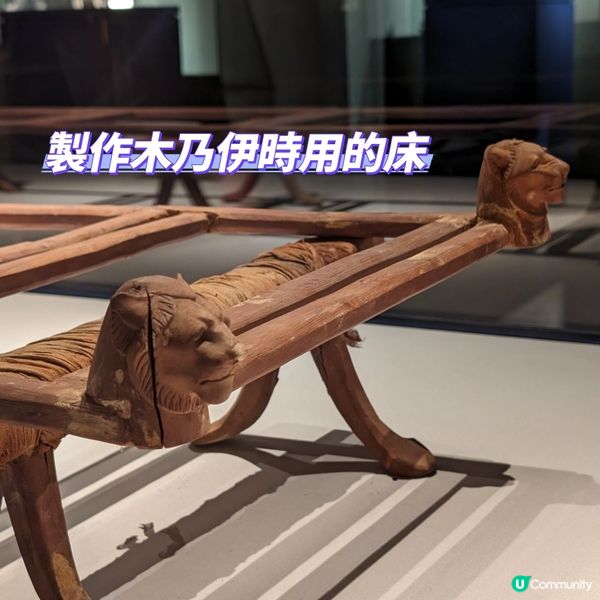 🐤我的志願: 成為木乃伊製作師
