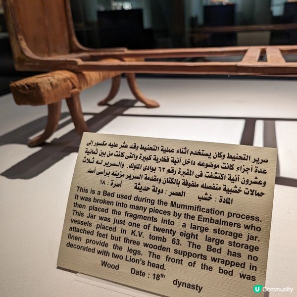 🐤我的志願: 成為木乃伊製作師
