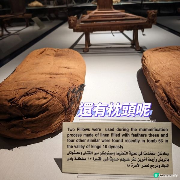 🐤我的志願: 成為木乃伊製作師
