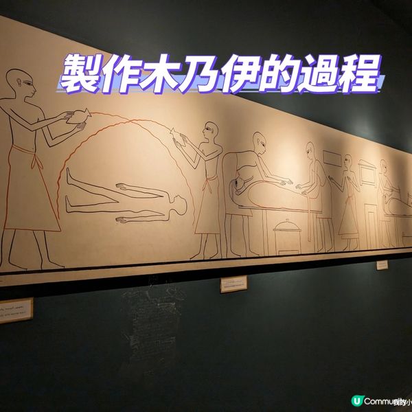 🐤我的志願: 成為木乃伊製作師

