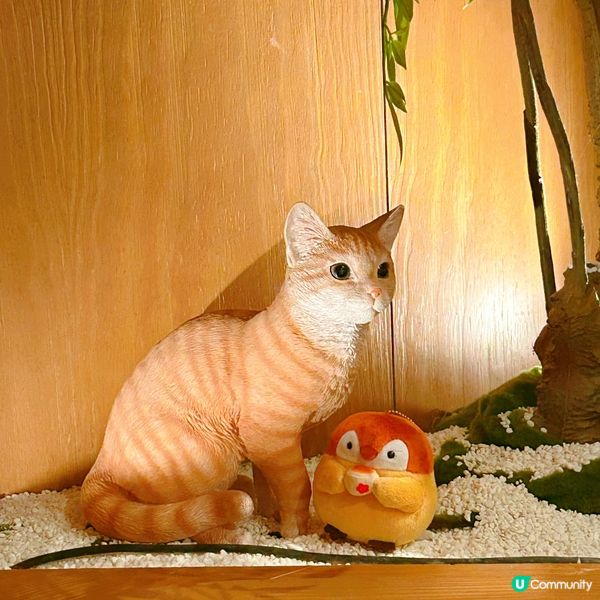 晚市套餐超值👍