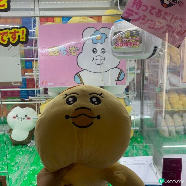 日本夾公仔之旅