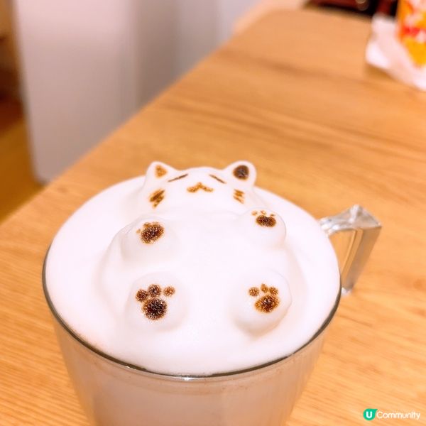 🐱1600呎海景貓Cafe