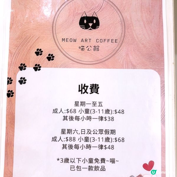 🐱1600呎海景貓Cafe