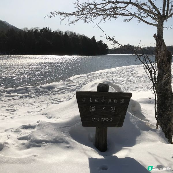 東京日光之旅7日-栃木県