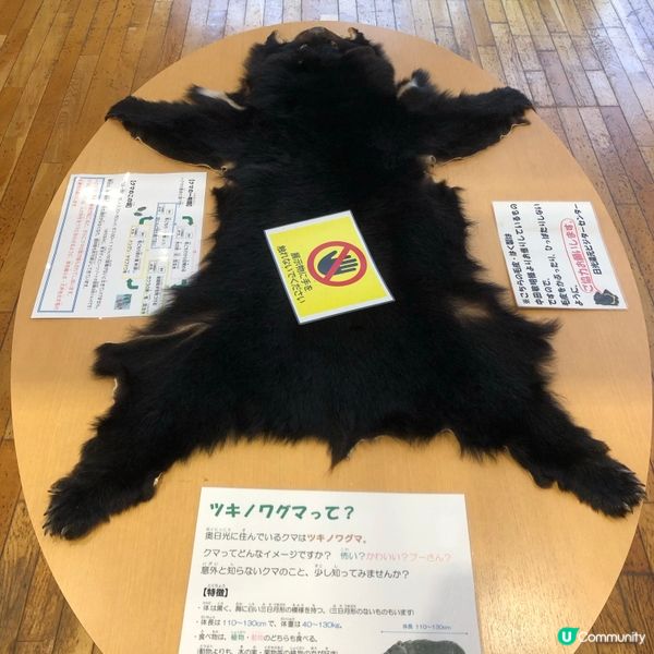 東京日光之旅7日-栃木県