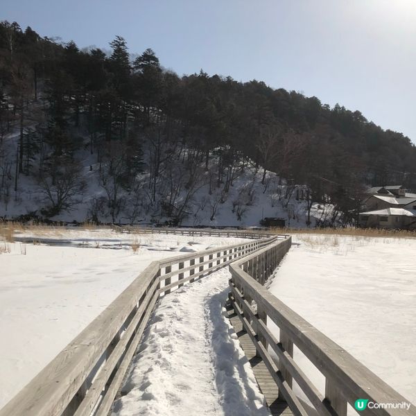 東京日光之旅7日-栃木県