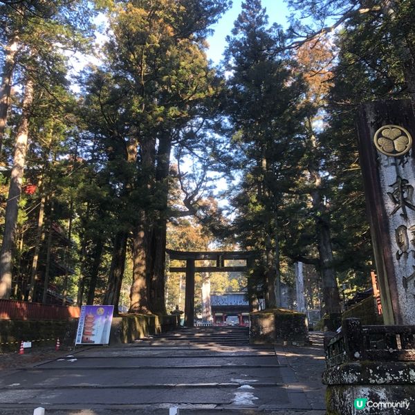 東京日光之旅7日-栃木県