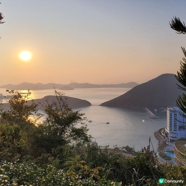 🎡多姿多彩的海洋公園🐼 保護海洋🌊大自然🌳