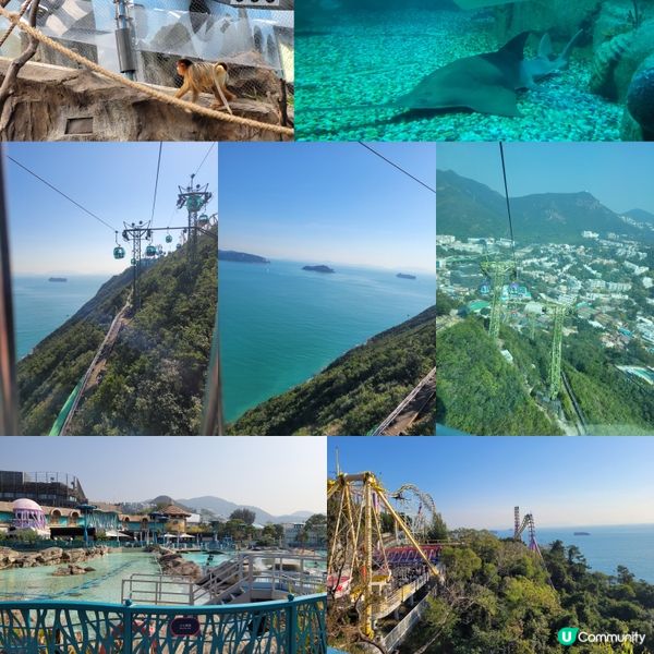 🎡多姿多彩的海洋公園🐼 保護海洋🌊大自然🌳