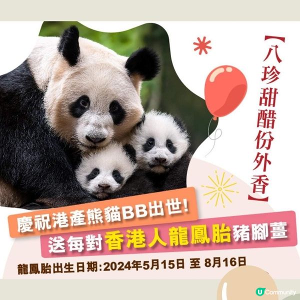 香港龍鳳胎可獲八珍豬腳薑！