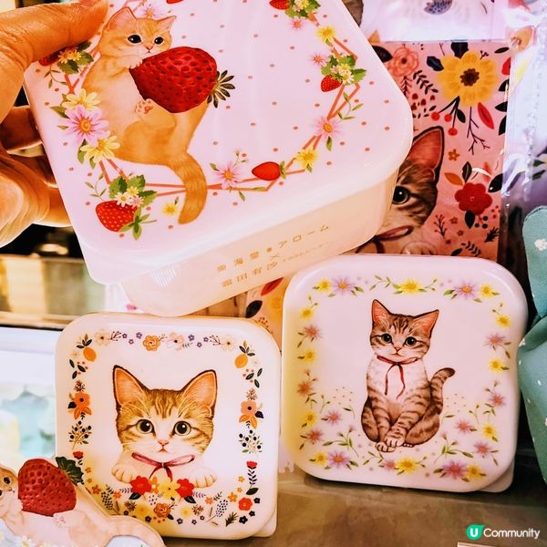 💥新登場💥🌈貓貓精品🙀🙀超想擁有😻😻