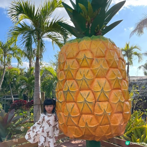 小朋友超like!!名護菠蘿園🍍