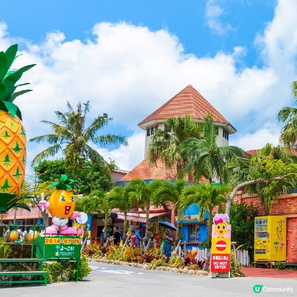 小朋友超like!!名護菠蘿園🍍