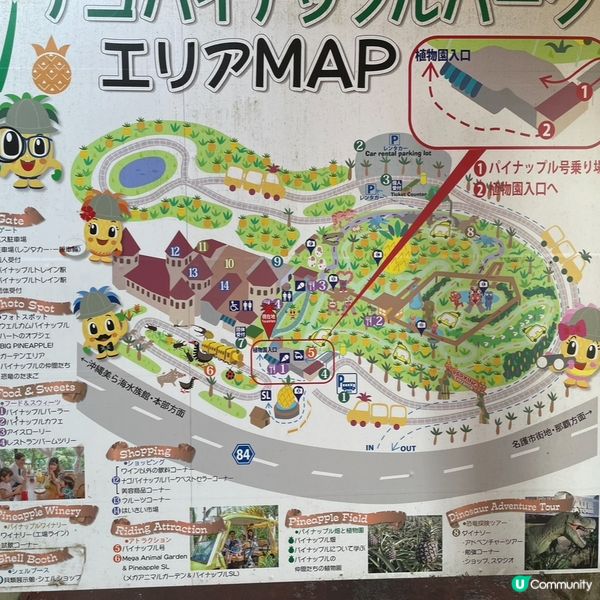 小朋友超like!!名護菠蘿園🍍