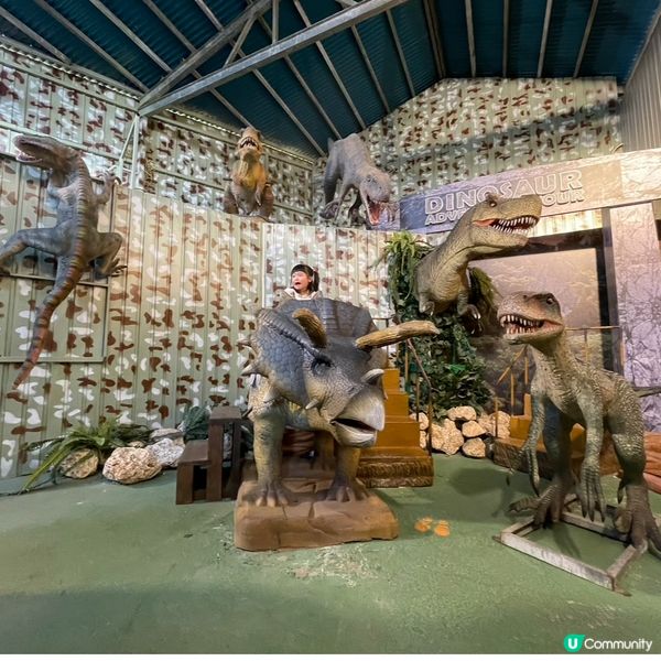 小朋友超like!!名護菠蘿園🍍