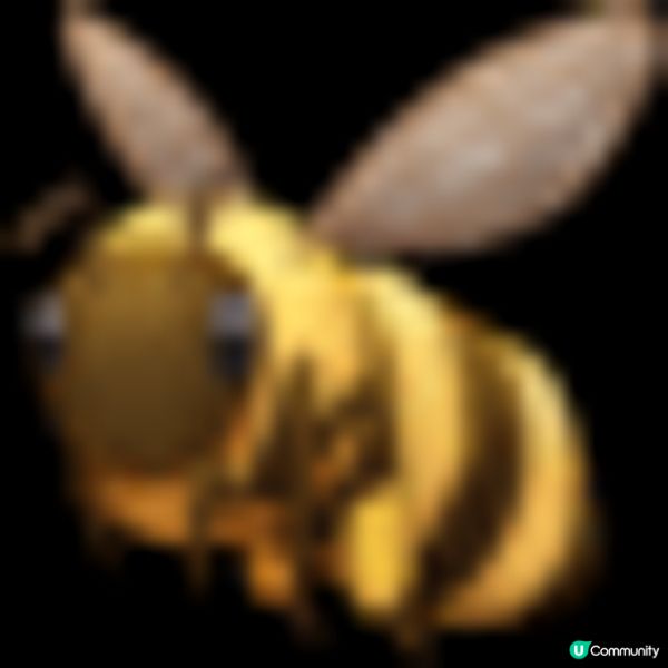 韓國 MEDIPEEL PLUS+ 抽取式安瓶 一瓶多用 高效即時為殘樣急救