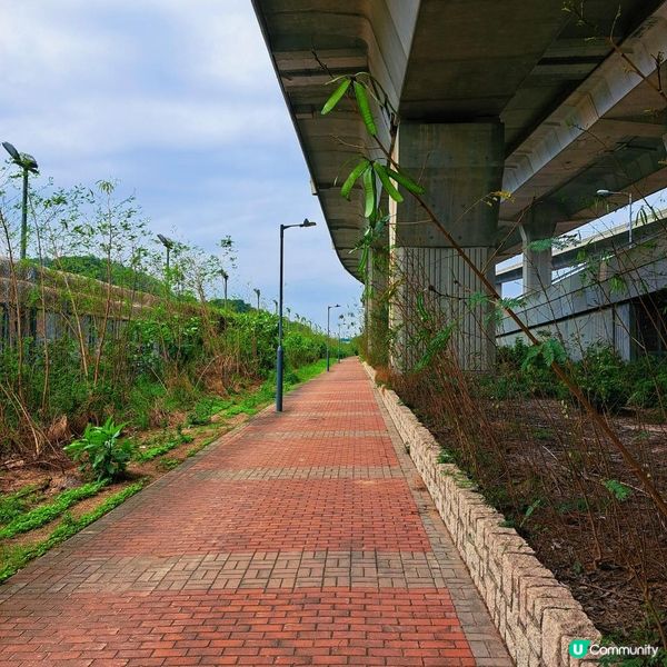 跑步路線推介 5 – 昂船洲大橋