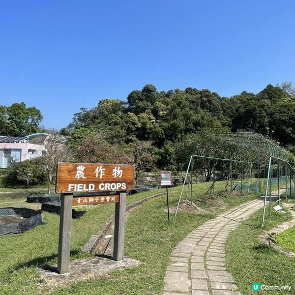 飛索歷奇活動一日遊