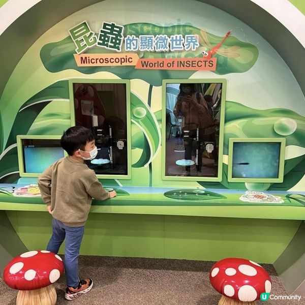 飛索歷奇活動一日遊