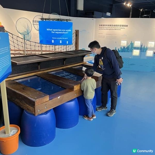 飛索歷奇活動一日遊