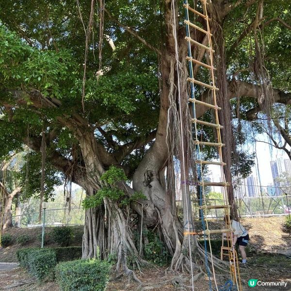 飛索歷奇活動一日遊
