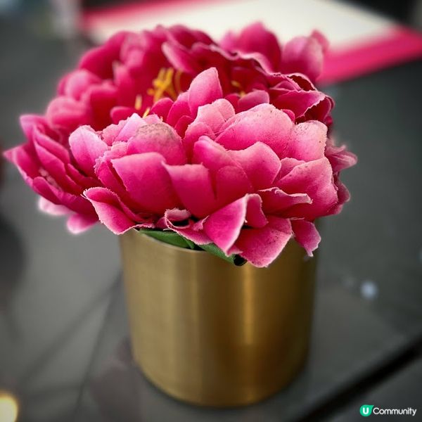 繁花似錦的下午@The Murray