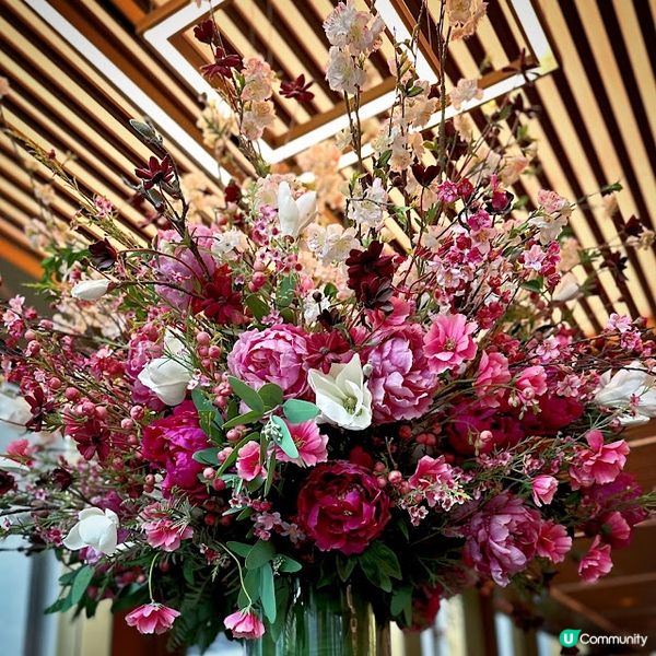 繁花似錦的下午@The Murray