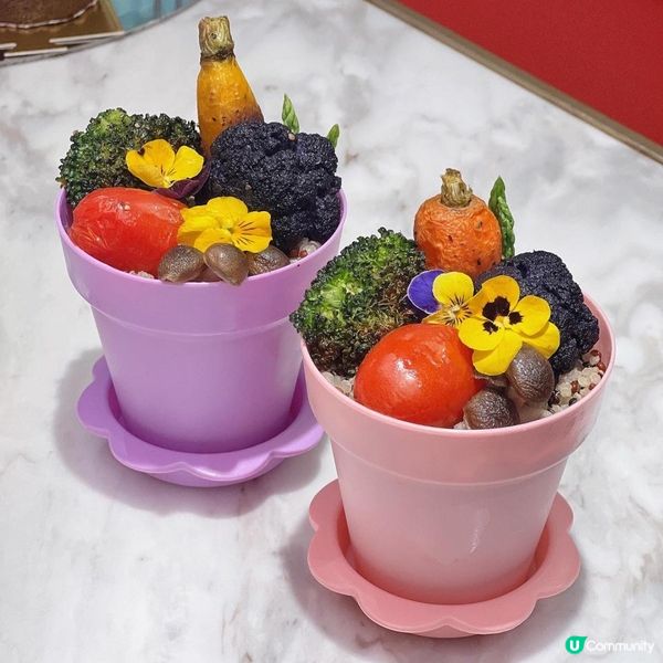 K11 Musea 🪴🍨🍔下午茶最佳之選 CURATOR cafe 