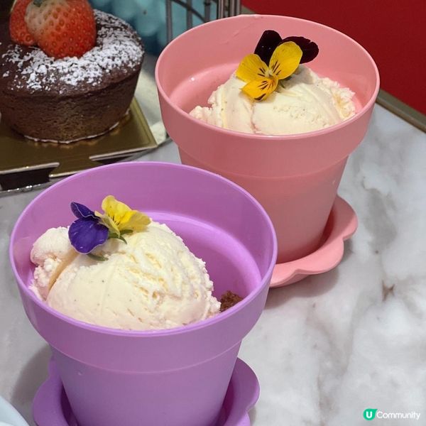 K11 Musea 🪴🍨🍔下午茶最佳之選 CURATOR cafe 