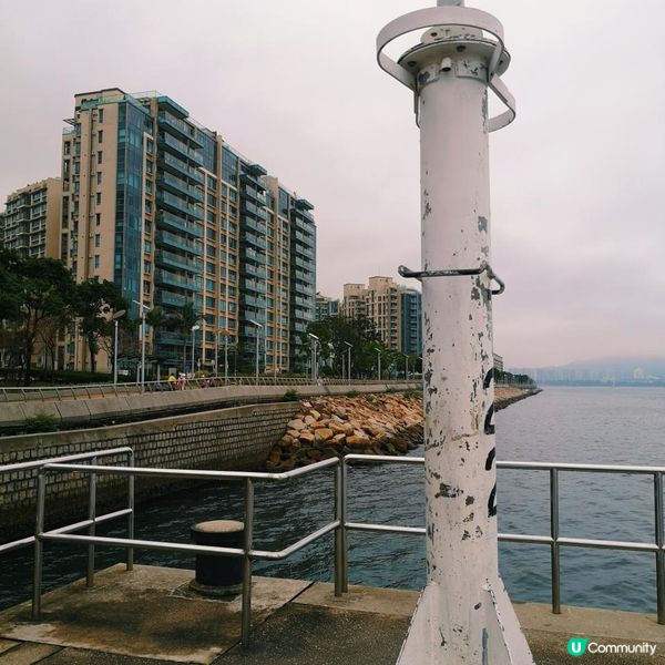 跑步路線推介 3 – 大埔吐露港