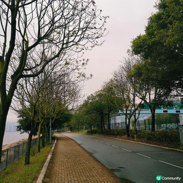 跑步路線推介 3 – 大埔吐露港