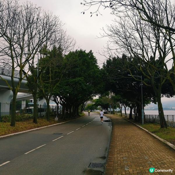 跑步路線推介 3 – 大埔吐露港