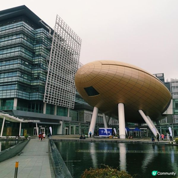 跑步路線推介 3 – 大埔吐露港