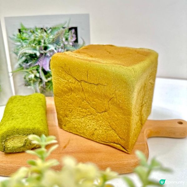 💥💥💥綠茶控、焙茶控注意💥💥💥